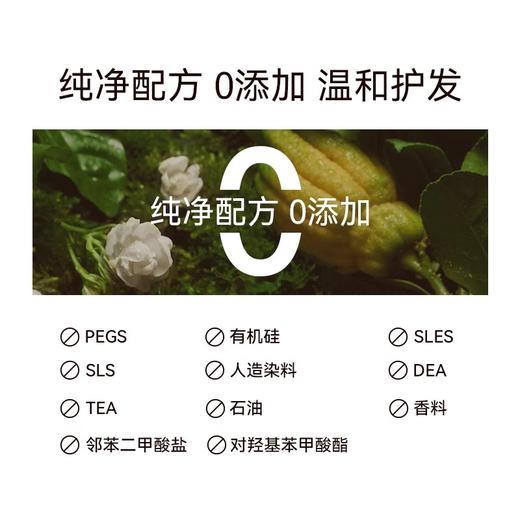 SUDTANA佛手柑椰子修复滋养预洗发油120ml 章小蕙推荐 商品图3