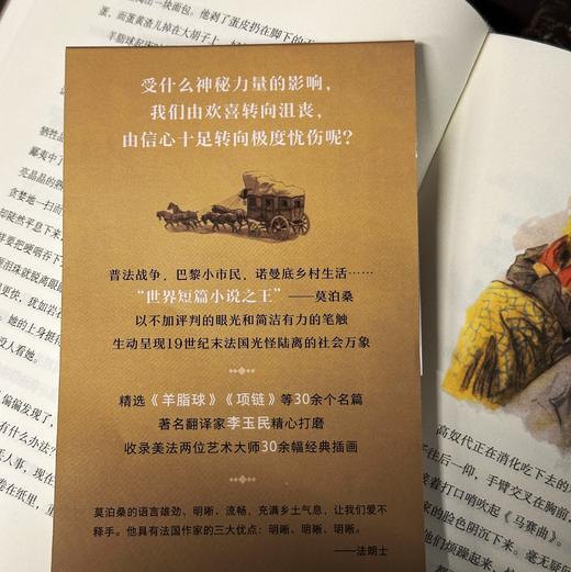 【插图珍藏版】莫泊桑中短篇小说集 商品图6