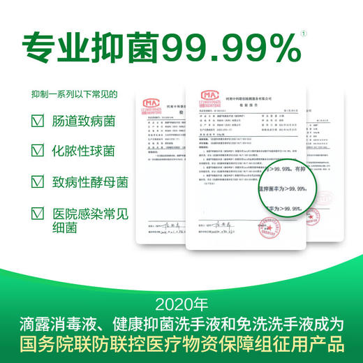 滴露抑菌洗手液经典松木 商品图3