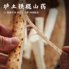 【垆土铁棍山药•质坚粉足】粘液丰富 鲜品正当季 河南温县