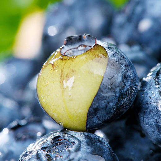 L25花香蓝莓 单果18mm+  4盒装 商品图2