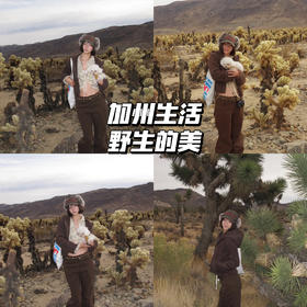 新品上身 | 在Joshua Tree，像看到世界末日📷 🎧