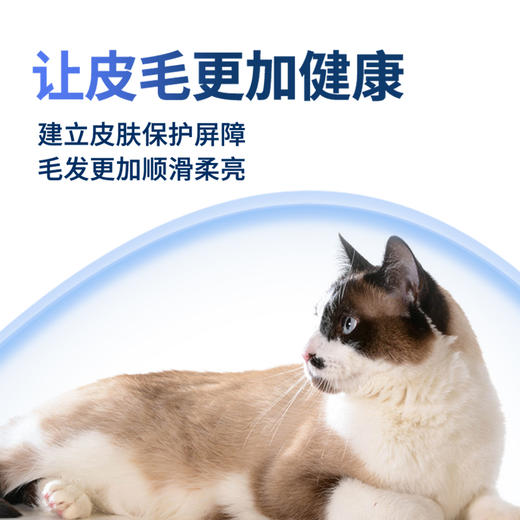 宠立信 猫咪专用益生菌 2g*10袋 商品图1