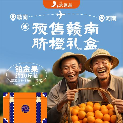 赣南脐橙10斤*1箱装 商品图0