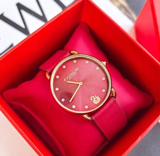‼️破价机制‼️直降千元！【蔻驰2025年蛇年限定腕表】轻松戴出高级感 商品图4