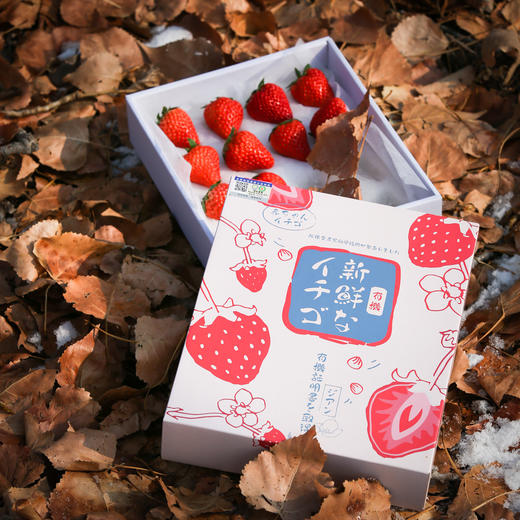 有机草莓 商品图2