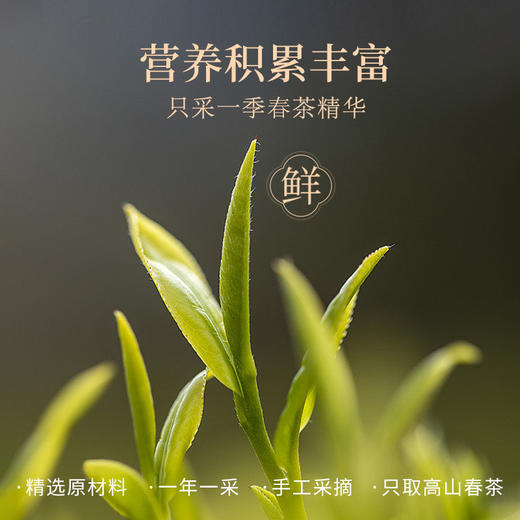 【5饼秒杀·赠¥128陈皮白茶+密封袋】华祥庄园-1000g白牡丹提箱装（到手200g*5饼） 商品图4