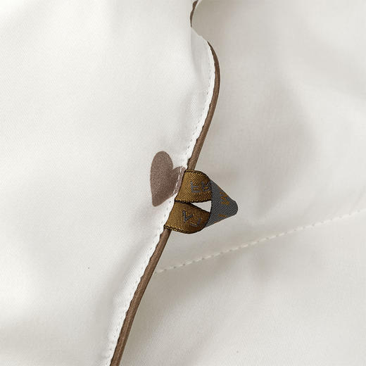 喜芙妮 心想事成暖暖被XF-B2410BZ 商品图4