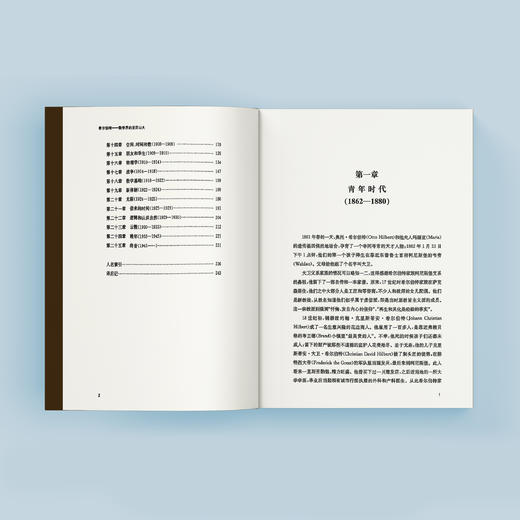 《希尔伯特：数学界的亚历山大》 商品图4