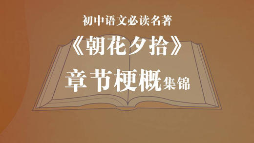 《朝花夕拾》章节梗概 商品图0