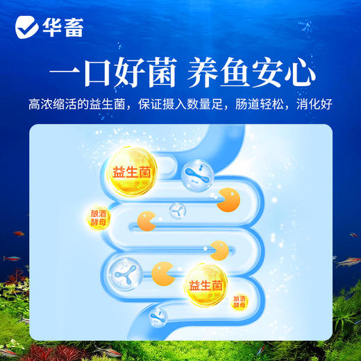 华畜鱼用益生菌锦鲤em菌调节肠道消化鱼池鱼缸水族用菌种饲料伴侣 商品图2
