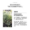 KAHINA焕亮眼霜12ml淡化黑眼圈 l章小蕙推荐 商品缩略图3