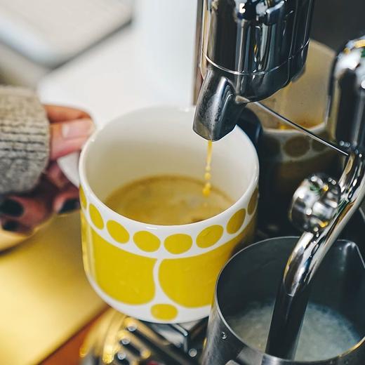 【新】芬兰进口Arabia星期天系列马克杯盘子碗杯子碟餐具 商品图3