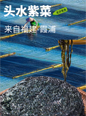 0593【国企严选，山海食材】紫菜（50g*6包）