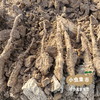 生态山药红薯粉皮 1斤/2斤/4斤 | 合作农友生产，产自河南焦作，生产者：覃怀农场 *【公平贸易农人定价】 商品缩略图7