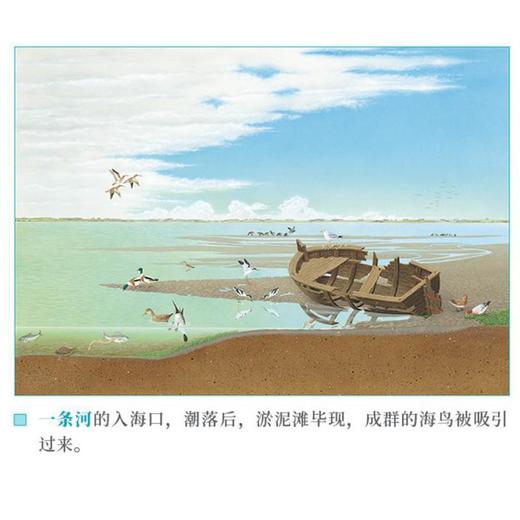 《大自然：一天·一年·一条河》三册精装自然类绘本 读库 商品图6