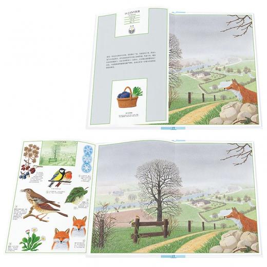 《大自然：一天·一年·一条河》三册精装自然类绘本 读库 商品图8