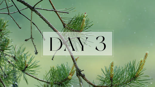 第四天：休息术习练 商品图0