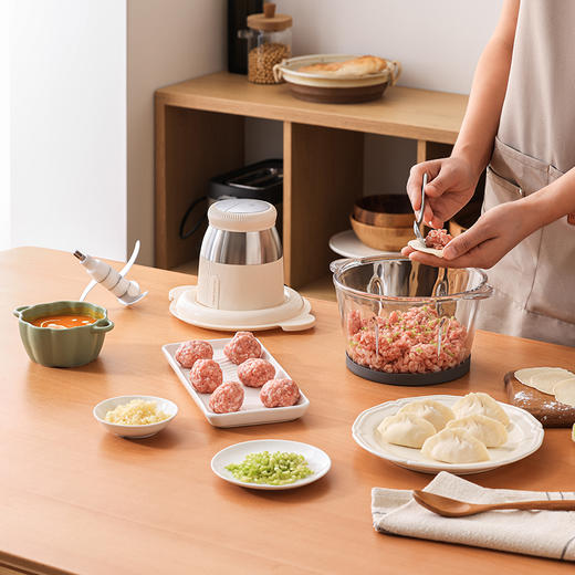 北欧欧慕 多功能料理机（绞肉机）NM-LG1002 商品图2
