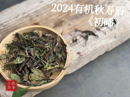 【好茶推荐】2024有机秋寿眉《初晞》，甜花香馥郁、茶汤冰沁可人 商品图2