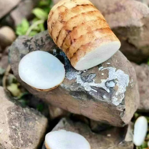 云南昭通天麻 商品图0