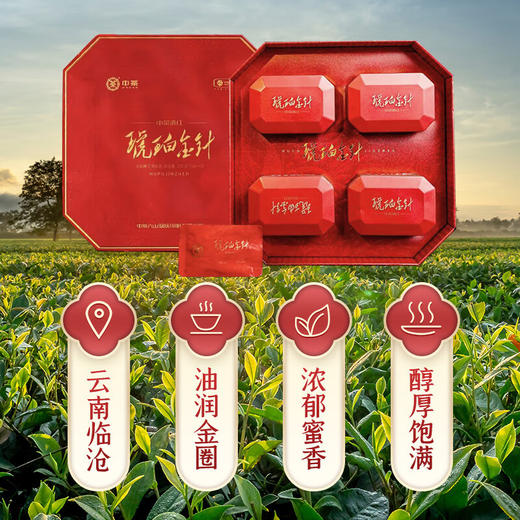 中茶滇红 特级琥珀金针 云南大叶种功夫茶红茶茶叶礼盒装送礼推荐 商品图2