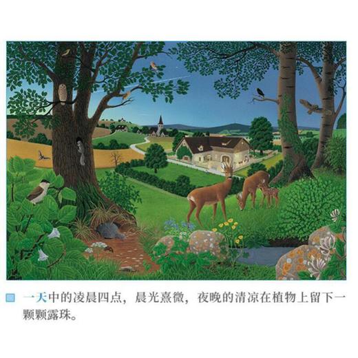 《大自然：一天·一年·一条河》三册精装自然类绘本 读库 商品图5