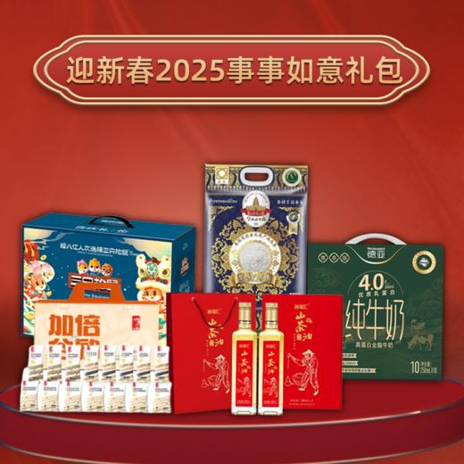 迎新春2025事事如意礼包 商品图0