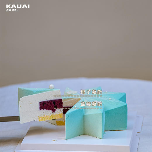 雪花蓝钻石冰淇淋蛋糕 | 烤爱 商品图5