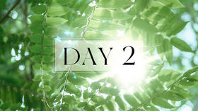 第二天：休息术习练