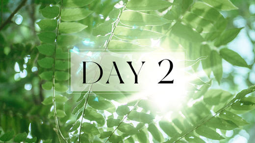 第二天：休息术习练 商品图0