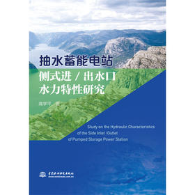 抽水蓄能电站侧式进/出水口水力特性研究