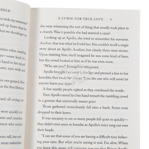 【中商原版】真爱诅咒 英文原版 A Curse For True Love Stephanie Garber 爱情小说 青春爱情文学 从前一颗破碎的心系列3 商品图2