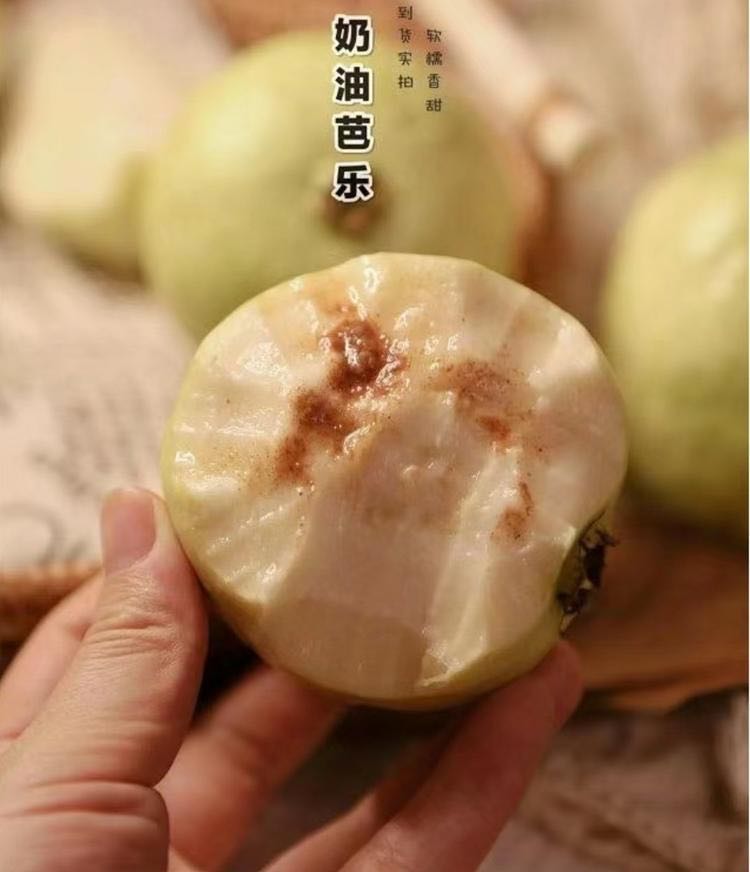 猫太推荐——这是偷走我心的芭乐！是我不远千里，爬山涉水寻来的芭乐。