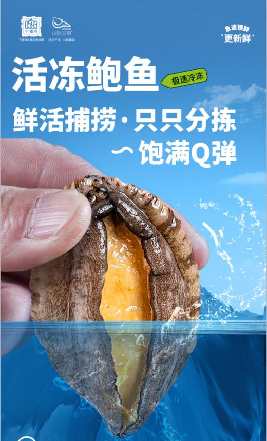 0593【国企严选，山海食材】鲍鱼500g 商品图0