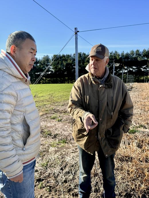纯加拿大原产西洋参原枝 5年足龄老参 花旗参 药食同源 温性 养生上品 I百里食 商品图6