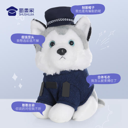 【二哈（可定制）】儿童毛绒玩偶男女款小狗公仔玩具礼品礼物 商品图3