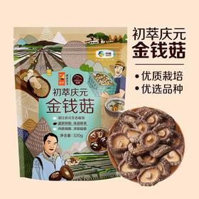 【保质期到2025-08-23介意慎拍】中粮初萃庆元金钱菇320g食用菌