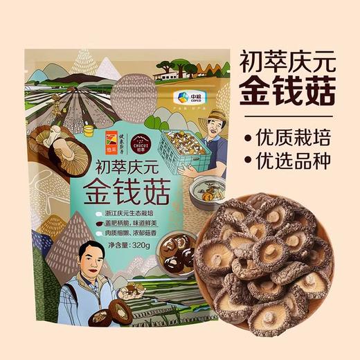 【特惠有效期到2025.8.21到期介意慎拍】中粮初萃庆元金钱菇320g（赠中粮初萃洮南绿豆400g/袋 有效期到2025-07-26到期，介意慎拍） 商品图2