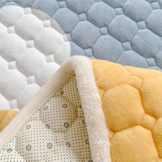 牛奶绒加厚床褥子 商品图7