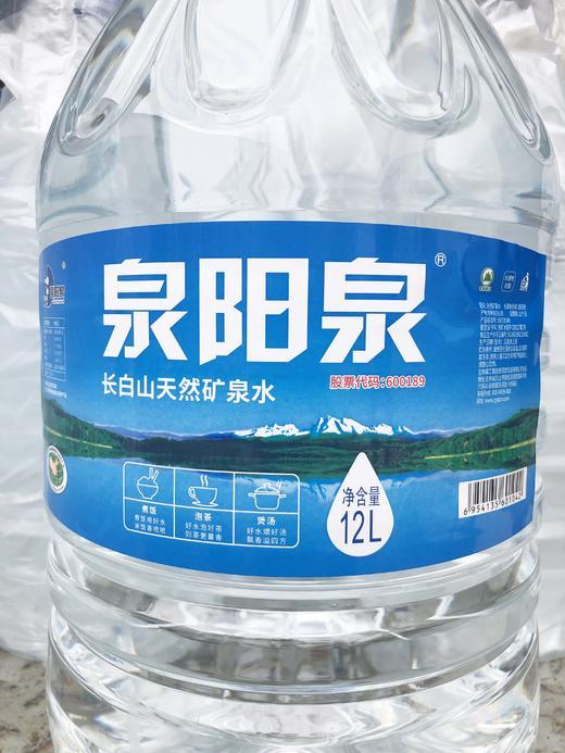 【公寓门口自提】12L一次性包装泉阳泉桶装水 商品图2