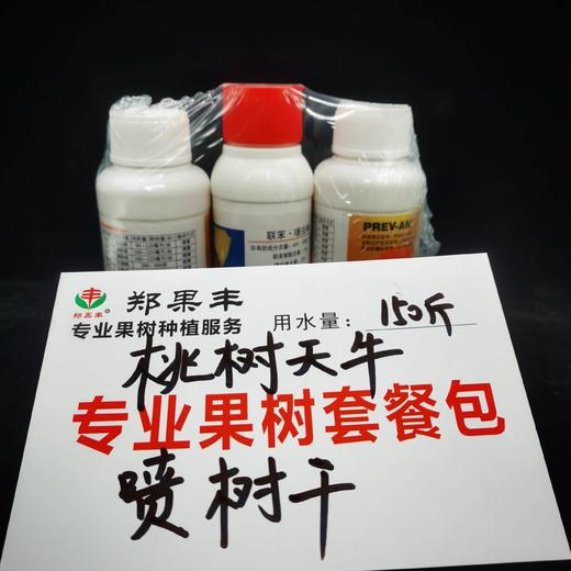 桃树天牛防治组合，强渗透，外打内死，树干喷雾使用 商品图0