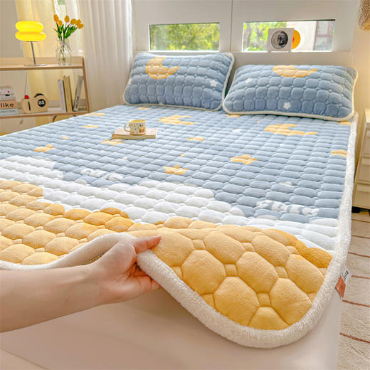 牛奶绒加厚床褥子 商品图3