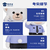 【小白小壮公仔摆件】 创意小熊公仔儿童玩具手办办公桌面装饰品送礼礼品 商品缩略图5