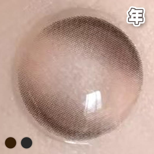 #Pure 乖乖牌 棕巧/黑灰 14.0mm【1片装】 舒适推荐 / 年抛 商品图3