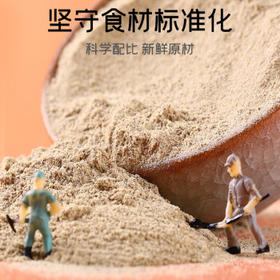 银京包子饺子料100g  复合调味料 调馅拌馅调料调味品 /粮油调味 /调味品 /基础香辛料