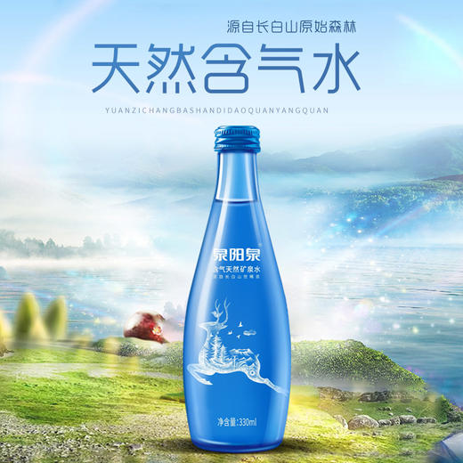 【公寓门口自提】330ml*10瓶泉阳泉天然含气水 商品图0