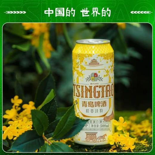 3连包青岛啤酒桂香诗韵桂花味白啤9度500ml*3听 新品上市 商品图3