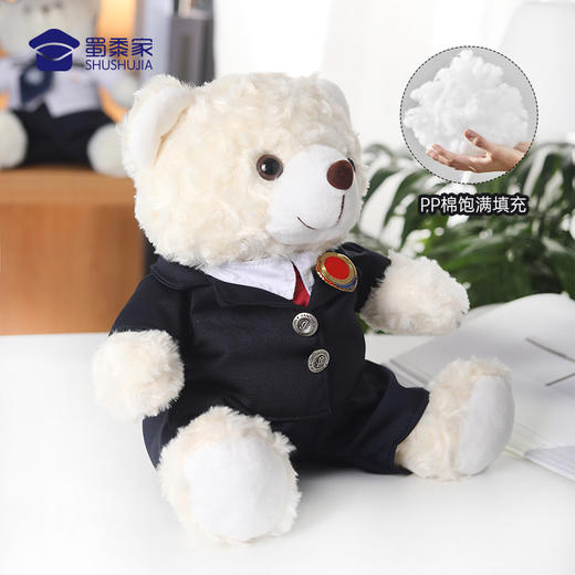【检察官熊】儿童毛绒公仔玩具不易掉毛小熊玩偶衣服可脱卸布娃娃摆件 商品图2