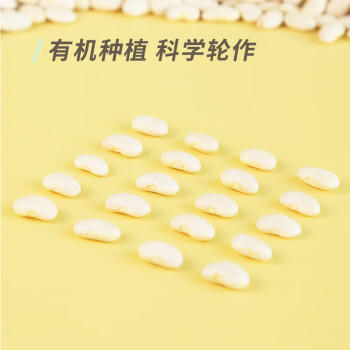 素养生活 有机白芸豆1.9斤/袋 东北小白芸豆 白腰豆菜豆饭豆 杂粮粗粮 /粮油调味 /杂粮 /其他杂粮 商品图7